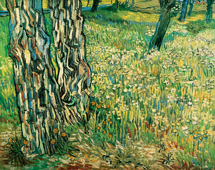  文森特·威廉·梵高  Vincent Willen Van Gogh —— 树 (3)